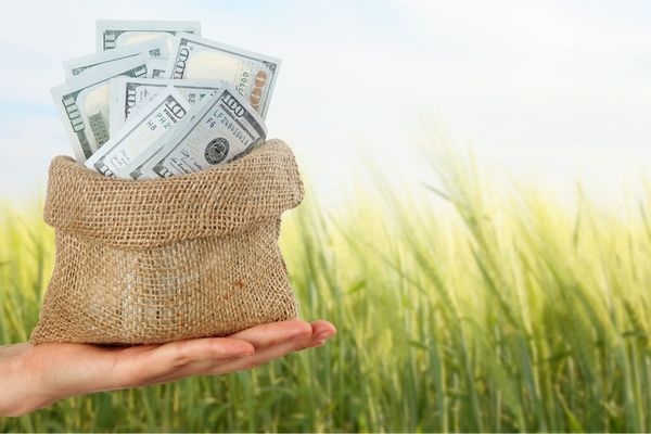 Tarımsal Üretimde Gelir Gider Takibinin Önemi